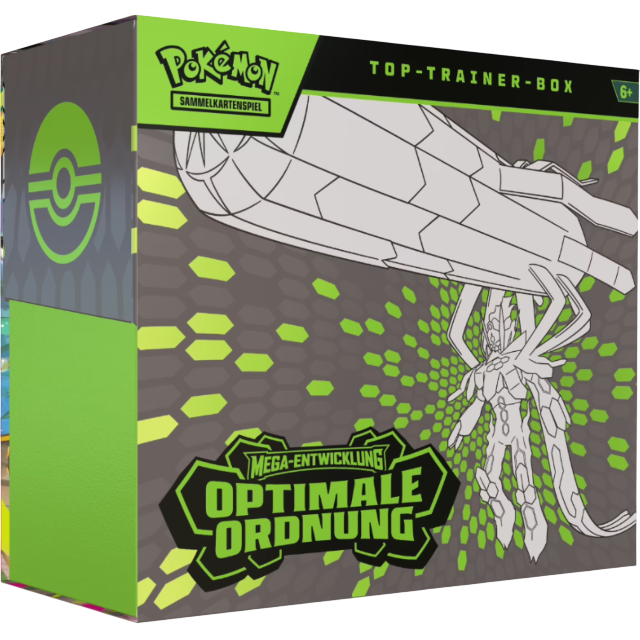 Pokemon Optimale Ordnung Top-Trainer-Box