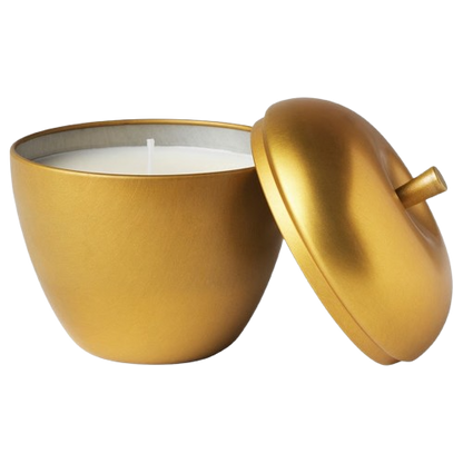 Ikea Vinterfint Duftkerze in Dose