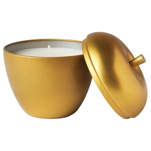 Ikea Vinterfint Duftkerze in Dose